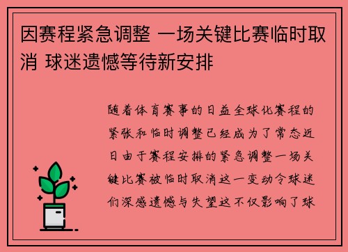 因赛程紧急调整 一场关键比赛临时取消 球迷遗憾等待新安排